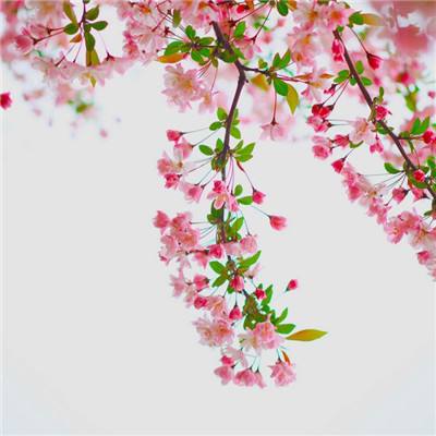 万圣节狙击手手机游戏下载