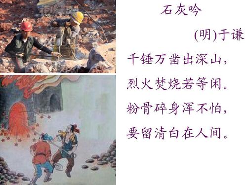 放开那校花爆衣破解版下载